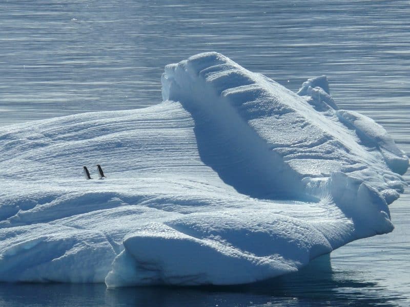 L'inquiétant réchauffement climatique au Pôle Sud